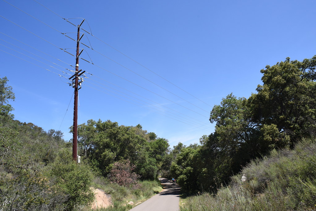Utility Pole and Single Lane Road