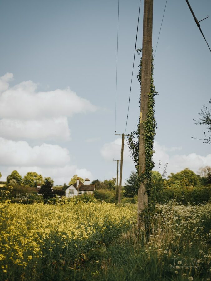 Telephone pole near house in rural area